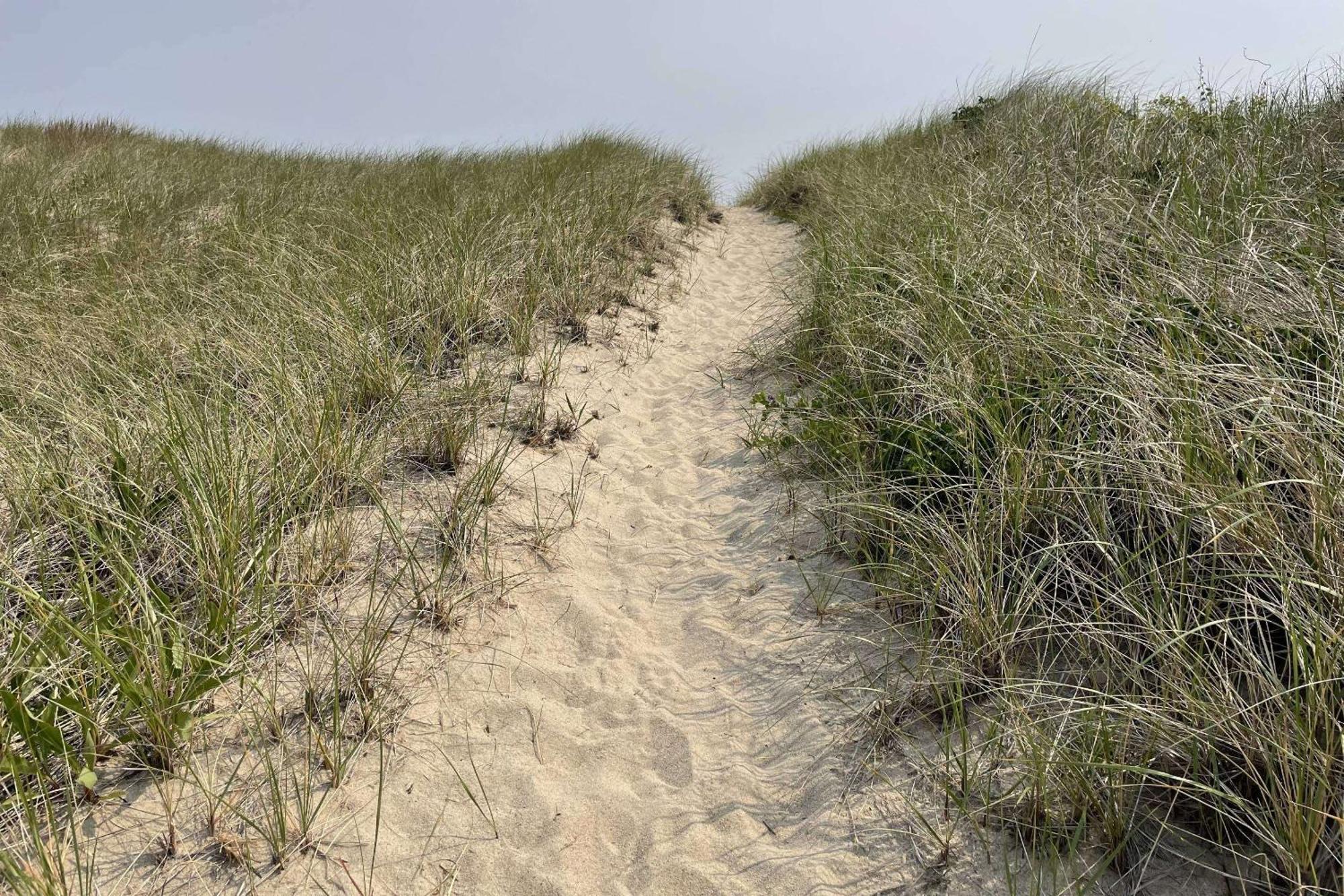 Sandy Clydesdale: Sagamore Beach Sandwich Villa Esterno foto